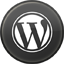 Custom WordPress Themes & Plugins